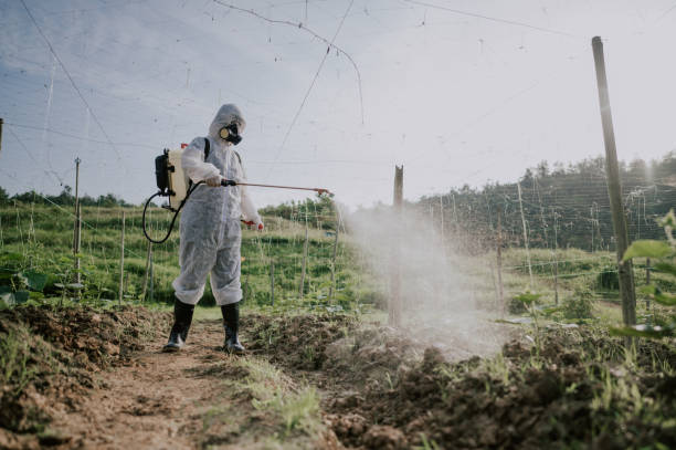 Best Pest Removal Services  in Bret Harte, CA