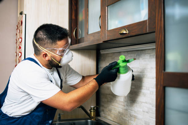 Best Pest Inspection Near Me  in Bret Harte, CA