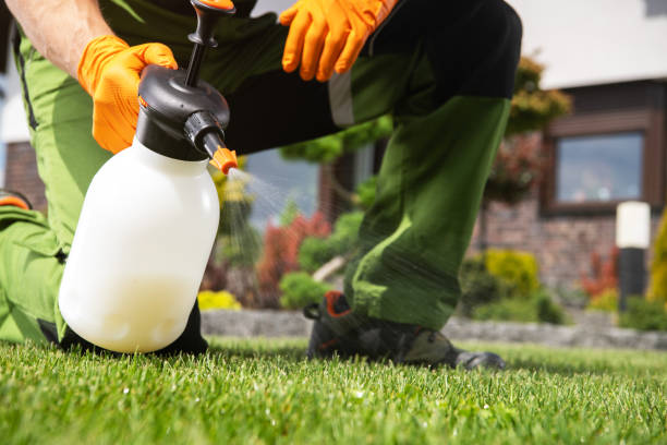 Best Exterminator Services  in Bret Harte, CA