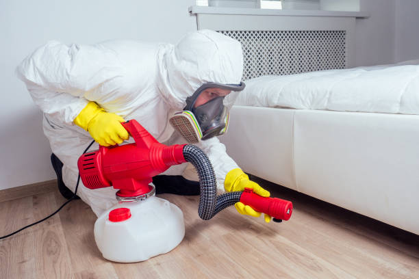 Best Affordable Pest Control Services  in Bret Harte, CA