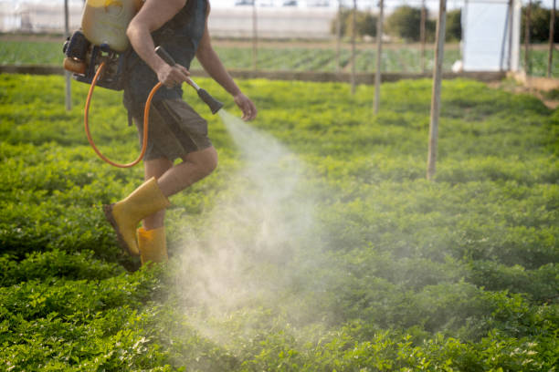 Best Pest Control Near Me  in Bret Harte, CA