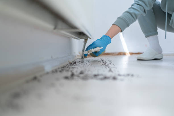 Pest Prevention Services in Bret Harte, CA